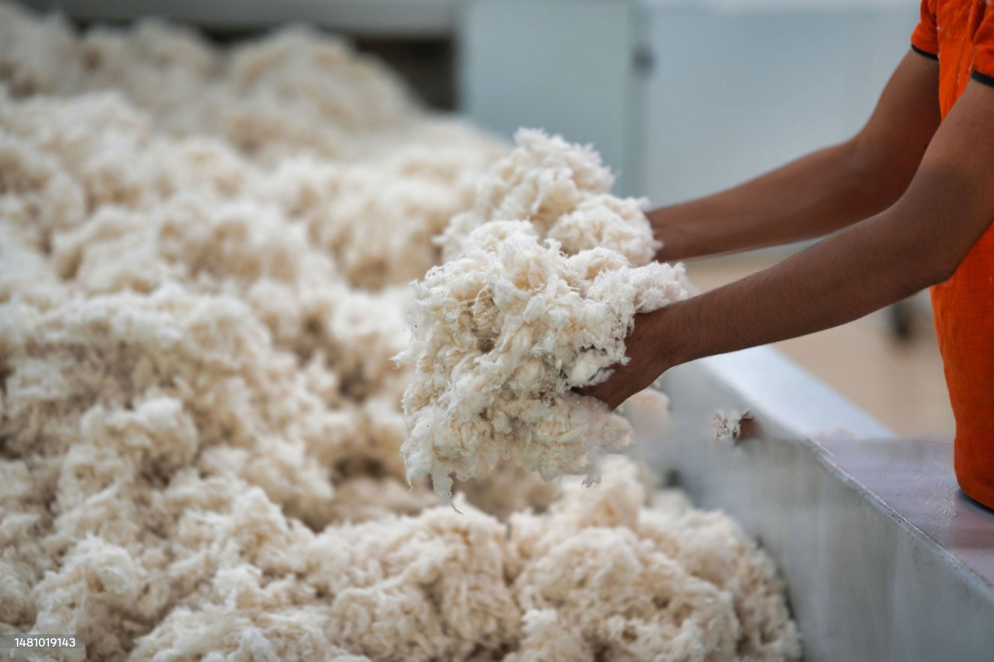 NovaTex Global Textiles Company